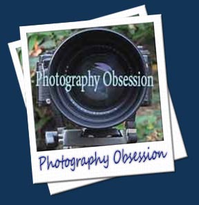 Photography Obsession Gallery